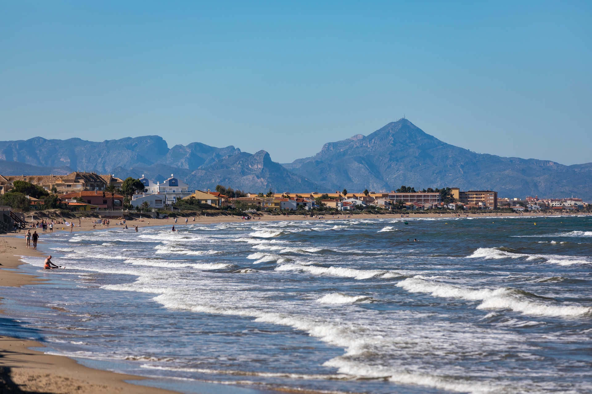 OLIVA VALENCIA